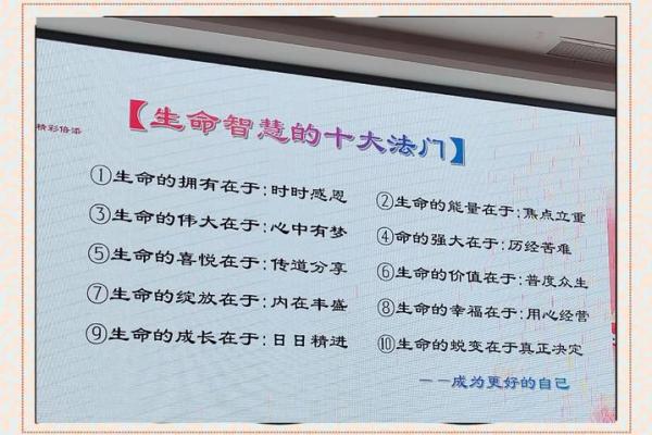 解读命理与命道：探寻人生的奥秘与智慧