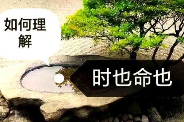 识时命者为俊杰,智慧与机遇的完美结合 识时命者为俊杰,智慧与机遇的完美结合