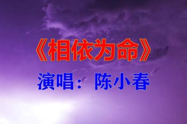 命与命的相合：缘分的神秘搭配与人生的奇妙舞步