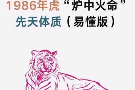 木命之人最宜与火命相伴，助力人生精彩旅程