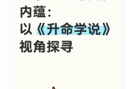 木命、金命：天生属性的奥秘与人生哲学探讨
