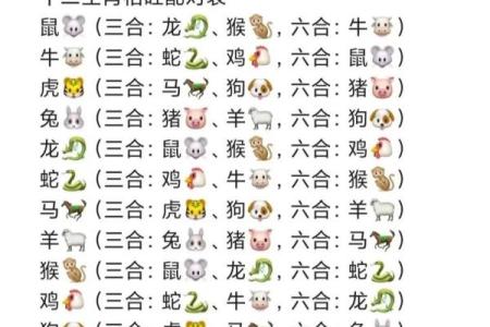 揭开纯阳命与三合局的神秘面纱，寻找命运的指引