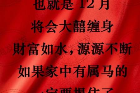 属马的八岁命运解析：探寻马年小朋友的成长秘密