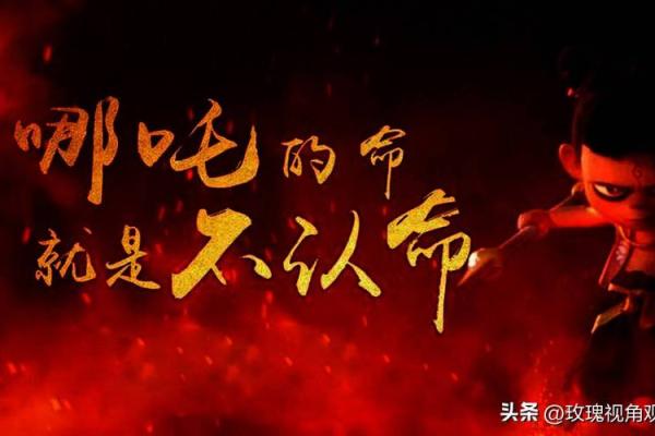 解读“要他命也要我命”的深层含义与人生哲学