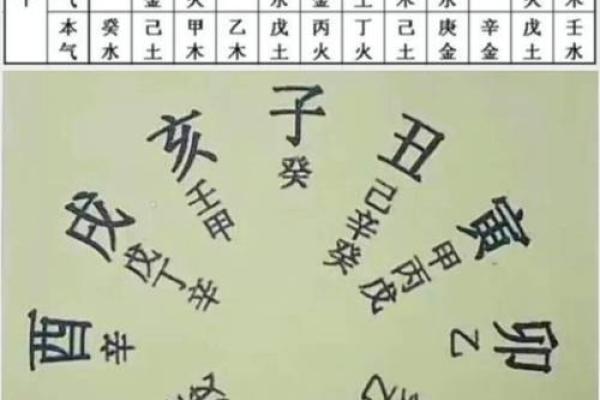 日支丙戌男命解读:揭示命理中的火与土的完美结合 日支丙戌男命解读:揭示命理中的火与土的完美结合