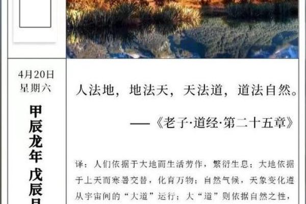 丁巳时柱命局解析：探寻命运的深层次秘密与人生智慧