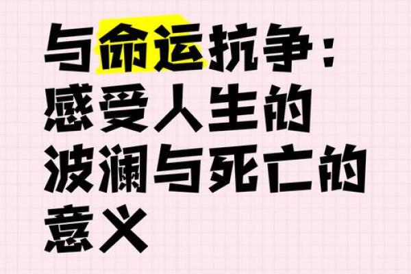 属猪女命八卦解析:揭开命运的秘密与人生方向 属猪女命八卦解析:揭开命运的秘密与人生方向