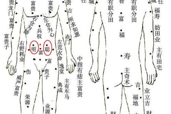 命运的棋盘：什么人算命不准确的深层解析