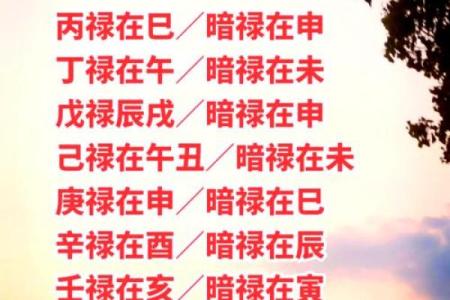 上等八字与下等命运的奥秘：命理中的玄机与原因探讨