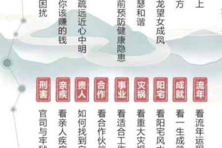 属猪女命八卦解析：揭开命运的秘密与人生方向