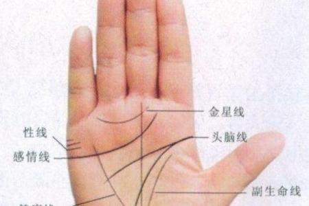 揭秘手纹：那些旺夫命女生的独特手相与命运解析