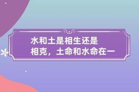 木水命与最佳命理配对：一场命运的完美交融