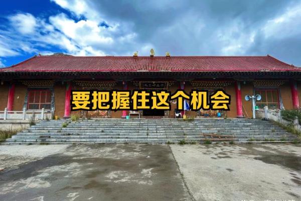 属鸡大泽土命的缺失与提升之道探秘 属鸡大泽土命的缺失与提升之道探秘