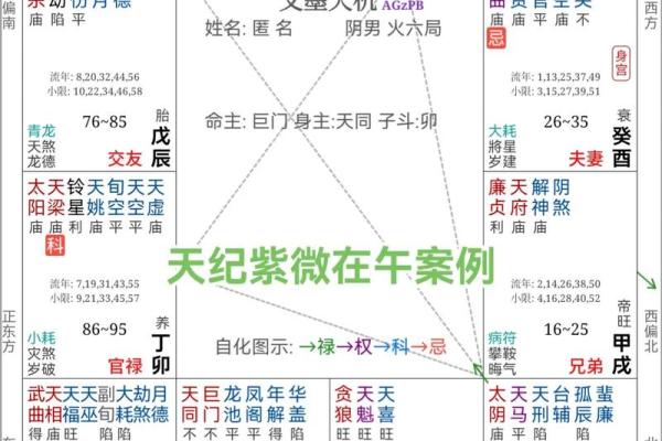 七宫漂泊男命适合做什么:揭秘命理解读与职业选择 七宫漂泊男命适合做什么:揭秘命理解读与职业选择