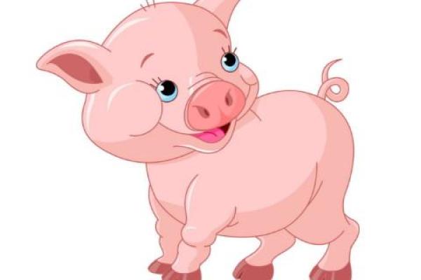 属猪人的出生年份与五行命理详解,让你更懂他她! 属猪人的出生年份与五行命理详解,让你更懂他她!