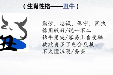 牛年出生的人命理分析：探寻牛命的命运与特点