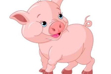 属猪人的出生年份与五行命理详解，让你更懂他她！