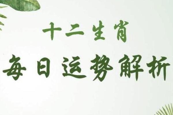 农历27日出生的人：命理揭秘与个性分析