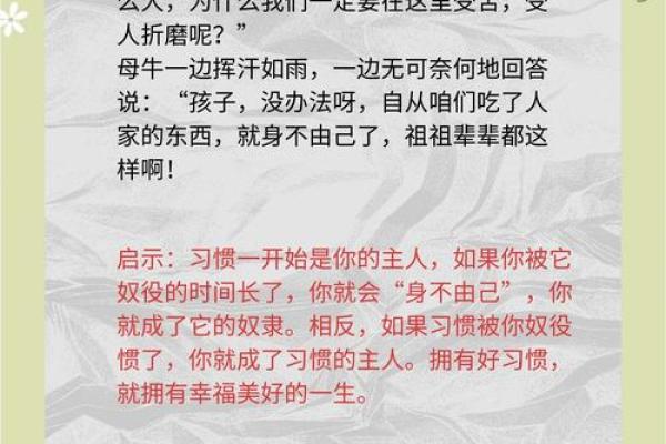 命运多舛，追寻希望的旅程：从逆境中寻找光明的故事