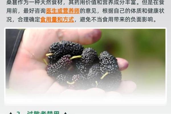 桑椹木命配什么命最合适?解读相生相克的奥秘! 桑椹木命配什么命最合适?解读相生相克的奥秘!