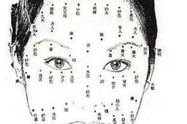 女人的脸型与她的富贵命：你脸上的秘密!