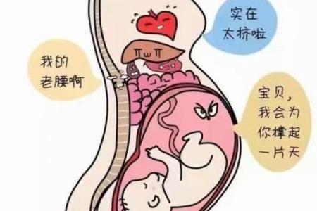 女人生小孩：爱的承载与生命的重任