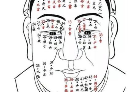 解密命理：乔字在命格中的深刻含义与人生启示