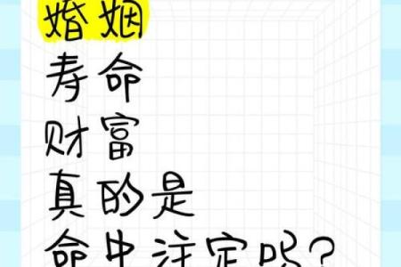 女命4两9的命理解析：命中注定的财富与情感之路