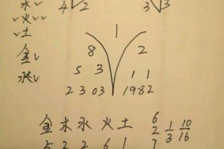 揭秘时柱丁巳命格的特征与人生轨迹，探索生命的独特密码