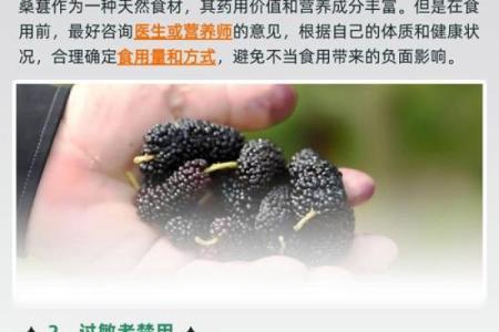 桑椹木命配什么命最合适？解读相生相克的奥秘！