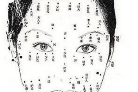 女人的脸型与她的富贵命：你脸上的秘密!