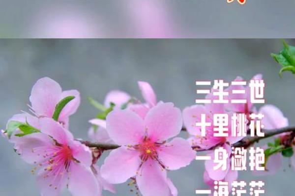 三月桃花盛开:探秘桃花命的八个独特特征与命运解析 三月桃花盛开:探秘桃花命的八个独特特征与命运解析