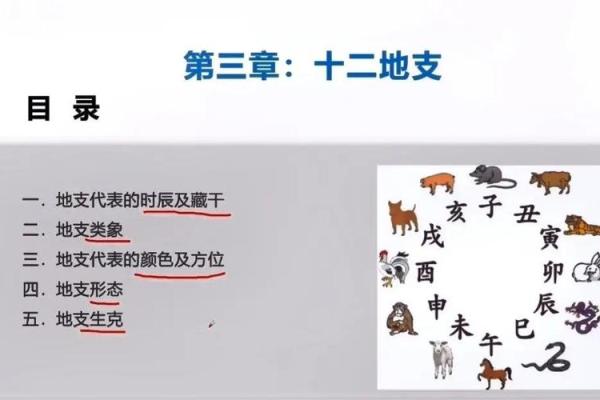 沙中土命与相克命运：探究相生相克的深层涵义