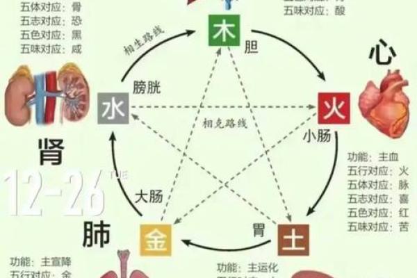 平地木命与水、土的和谐共生:探寻五行互补的奥秘 平地木命与水、土的和谐共生:探寻五行互补的奥秘