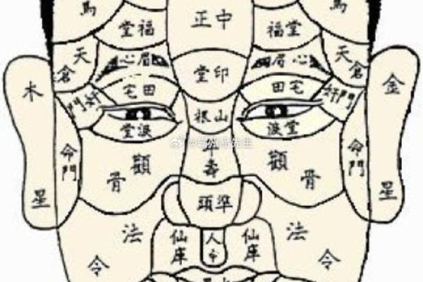 男人面相解析：揭示好男人的命理特征与性格魅力