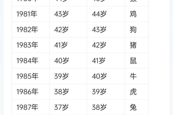 属龙88年命运解读：探寻属于你的璀璨人生之路