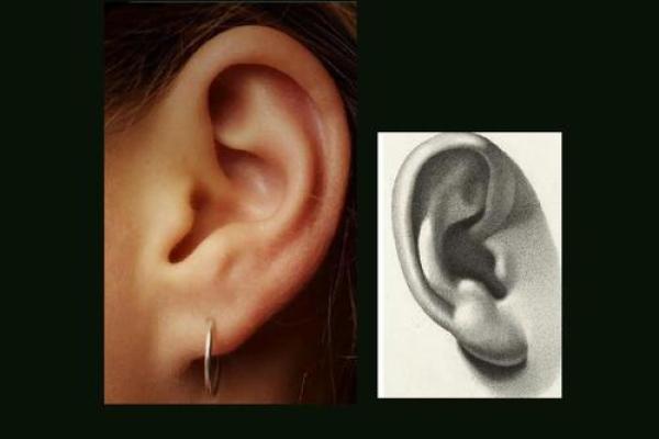如何通过耳朵的特征发现财运与命理的秘密