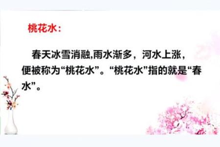 三月桃花盛开：探秘桃花命的八个独特特征与命运解析