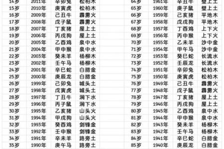 壬申年出生的你，五行属什麼命？探索命理奥秘与人生启示！