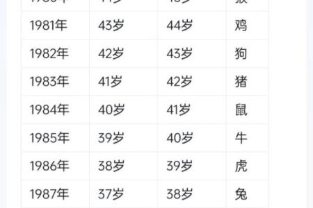属龙88年命运解读：探寻属于你的璀璨人生之路