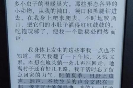 《能救你一命的警报——一首激发勇气的歌曲之探讨》