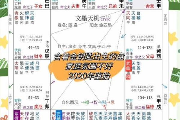 女命的财官印组合与职业选择的深度探讨