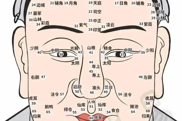 上等命格的特征与识别,让你拥有辉煌人生的秘诀! 上等命格的特征与识别,让你拥有辉煌人生的秘诀!
