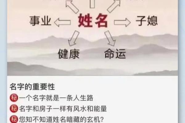 了解你的命理：通过出生日期揭示人生的秘密与机遇