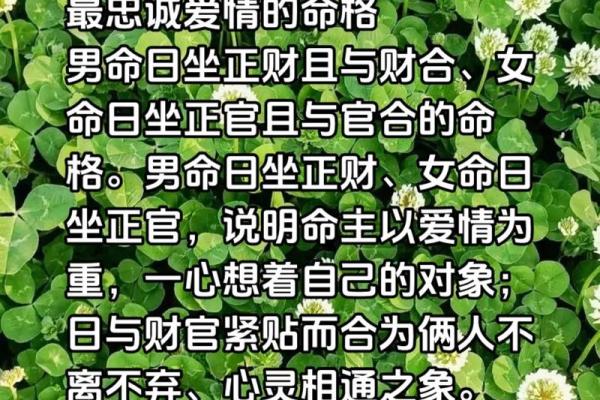 命与命的结合：怎样找到你的最佳伴侣？