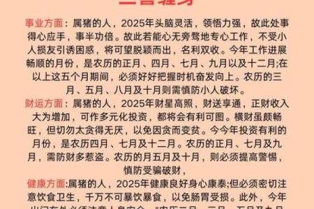 揭秘生肖猪大五岁属什么命：解读命运与性格的奥秘