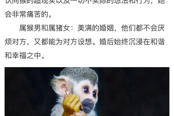 属猴男的命格解析:智慧与机敏并存的性格魅力 属猴男的命格解析:智慧与机敏并存的性格魅力