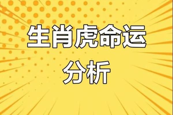 属虎1986年出生：探寻其命理特点与人生道路