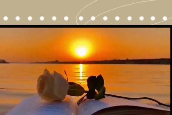 解读官印相生：透视命理中的女性智慧与成功之路