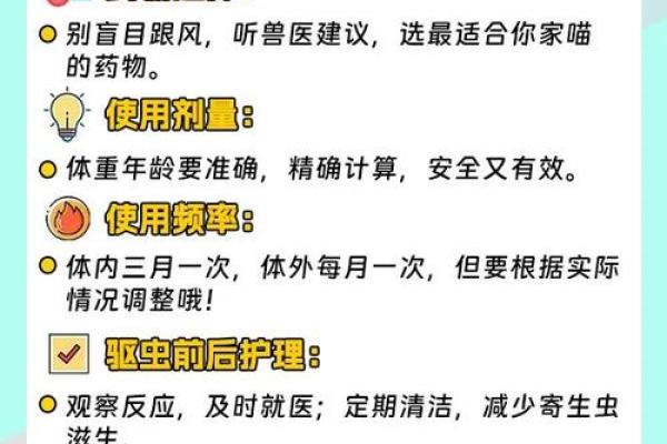 如何快速有效消灭小鸟的药物推荐与使用指南